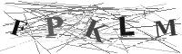 Please refresh your browser to see this image.